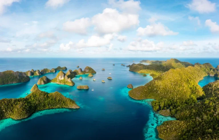 Your 2027 Bali Relocation: An Insider’s Checklist for Komodo Island Adventures